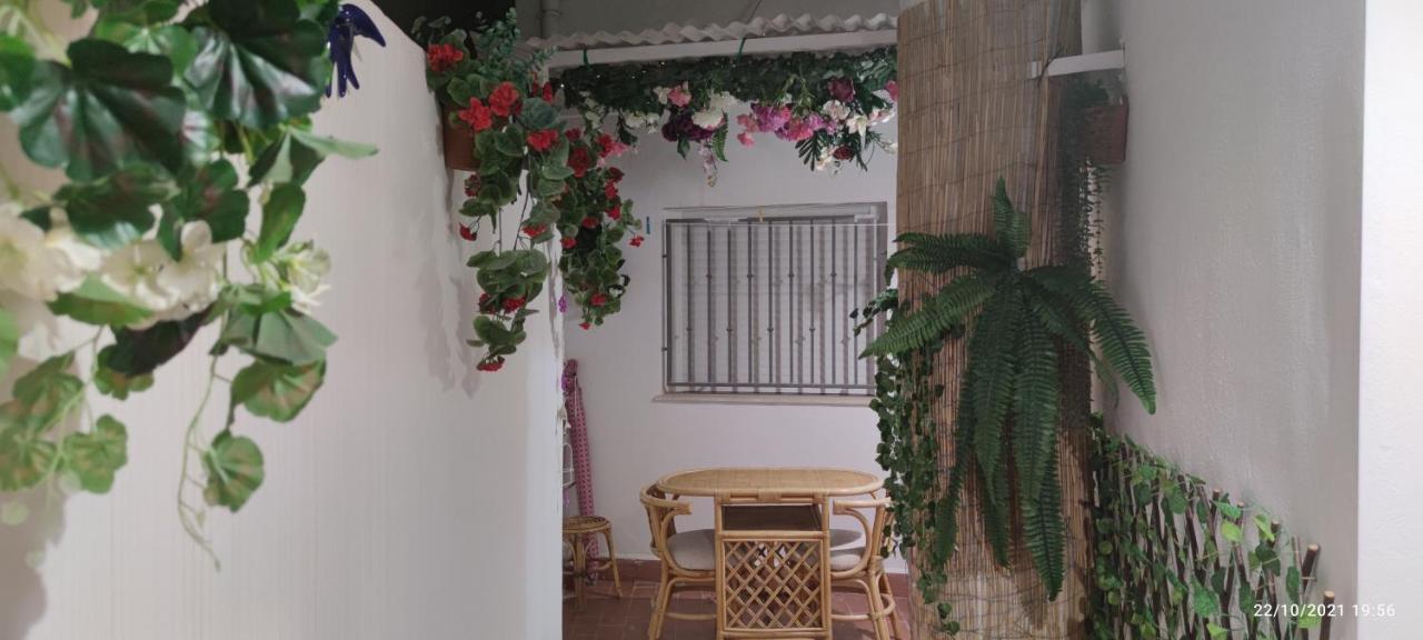 Tus Vacaciones En El Corazon De Alicante! エクステリア 写真